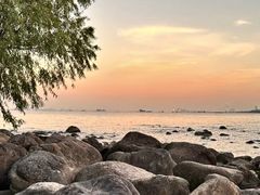 -上海吴淞炮台湾国家湿地公园