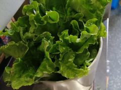 -古乐牛香·鲜牛肉牛杂火锅(新区店)