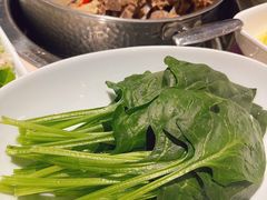-浩爷羊蝎子火锅(望京店)