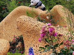-深圳仙湖植物园