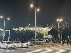 -深圳市宝安体育中心体育场