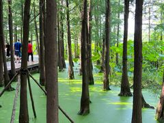 -云龙湖旅游景区