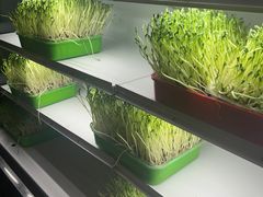 -番食园鲜食火锅(高新店)