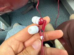 -BUS TOUR观光巴士