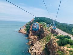 -摩天岭风景区