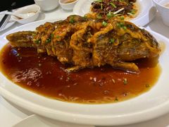 糖醋黄河鲤鱼-金春禧(世茂国际广场店)