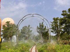 -嘉北郊野公园