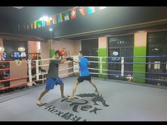 -臻元搏击格斗泰拳拳馆(港隆店)