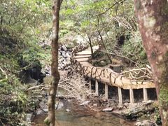 -江西阳明山国家森林公园