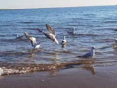 -金梦海湾浴场