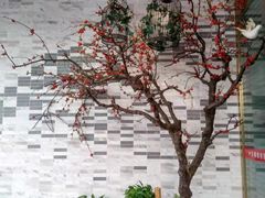 -解家河南菜(商鼎路店)