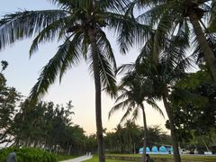 -海南清水湾莱佛士酒店