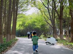 -苏州太湖国家湿地公园