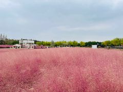 -嘉北郊野公园