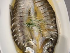 -悦海·家宴·冰花皮皮虾大锅贴(宝龙店)