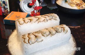 Live Sea Cucumber Presentation