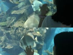 -苏州海洋馆