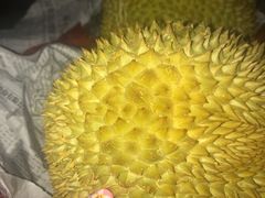榴莲-PAGODA百果园(湛江城市美林店)
