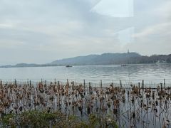 -湖畔居茶楼(湖滨店)
