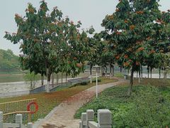 -怡海公园(桂城街道)