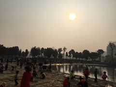 -眉山湿地公园(东坡区)