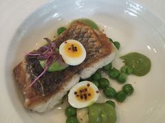 香煎海鲈鱼-蝶舍·MAISON PAPILLON