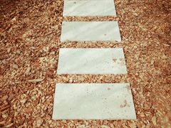 -武清南湖绿博园