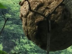 -汉中石门栈道风景区