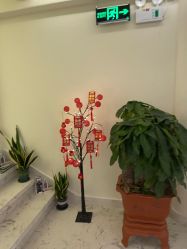 -海涛医疗美容·面部抗衰·注射美鼻