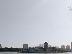 -莱西月湖公园