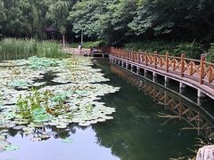 -云岗森林公园