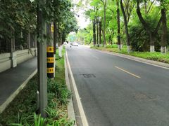 -望江楼公园