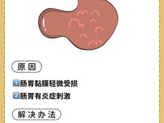 -睿金宠物医院·CT·肿瘤·骨外科