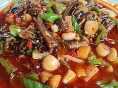 -代木儿回锅肉
