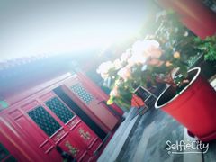 -百好乐宠物友好餐厅(朝外大街店)