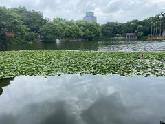 -荔湾湖公园