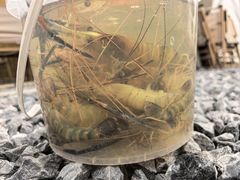 -DGE季风钓虾营地·团建·聚会