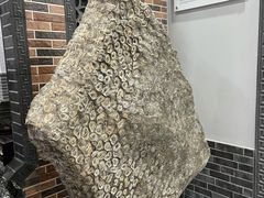 -游龙石文化科普馆