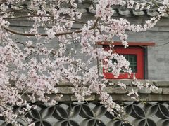 -三里河公园