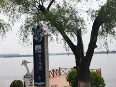 -丁香湖公园