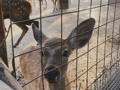 -祥源·阜阳生态乐园