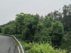 -青龙山国家森林公园