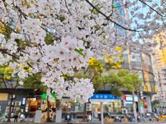 -玛格萝妮比萨屋(四平店)