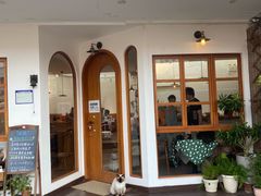 -有猫主题·治愈系猫咖(曾厝垵店)