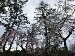 -京都御所