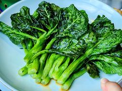 -蒙料·手把肉(望京店)