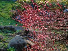 -中国茶叶博物馆(双峰馆区)