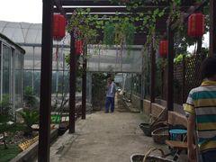 -美家乐农庄·露营·团建(大治路店)