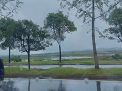 -长沙黑麋峰国家森林公园