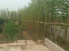 竹篱笆-美家乐农庄·露营·团建(大治路店)